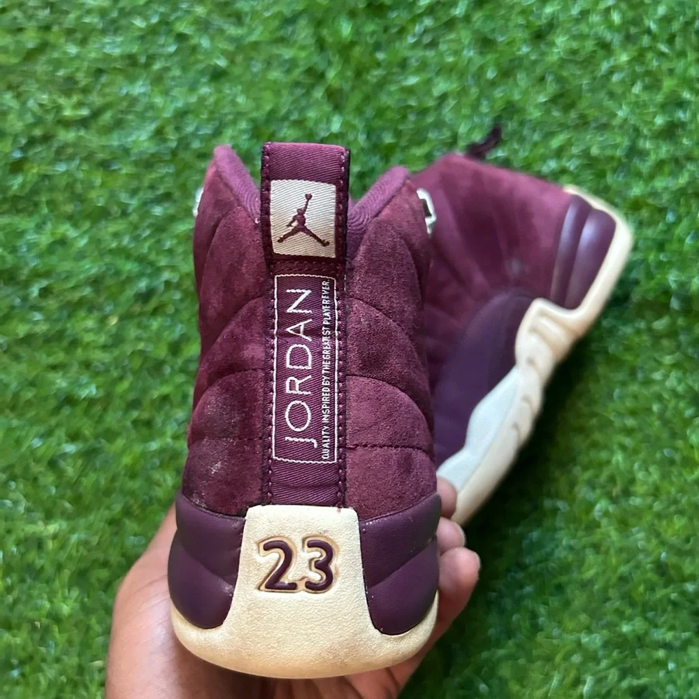 Jordan air 12